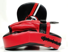 Load image into Gallery viewer, Morgan Classic All Purpose Pre-Bent Focus Pads